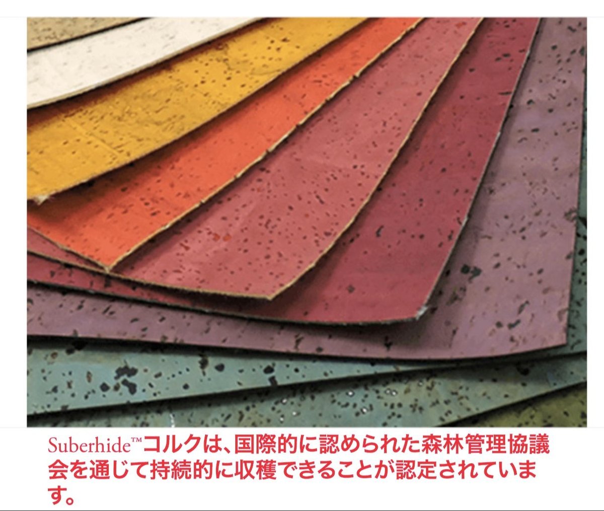 JORD(ジョード)ブランド エイラ エロスレッド&シルバージッパー