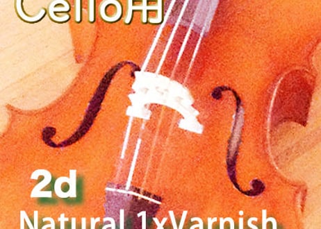 TOROプレーンガット弦公式販売サイト『TOROガット弦ショップ』