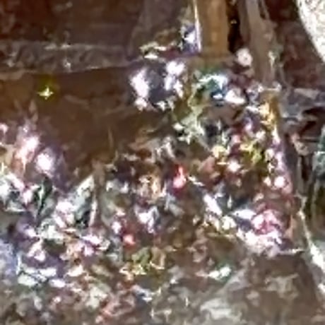 ちゅるちゅる黒系レムリアン水晶 (16)