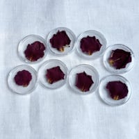 【プレミアム】ブルームーン薔薇花びら