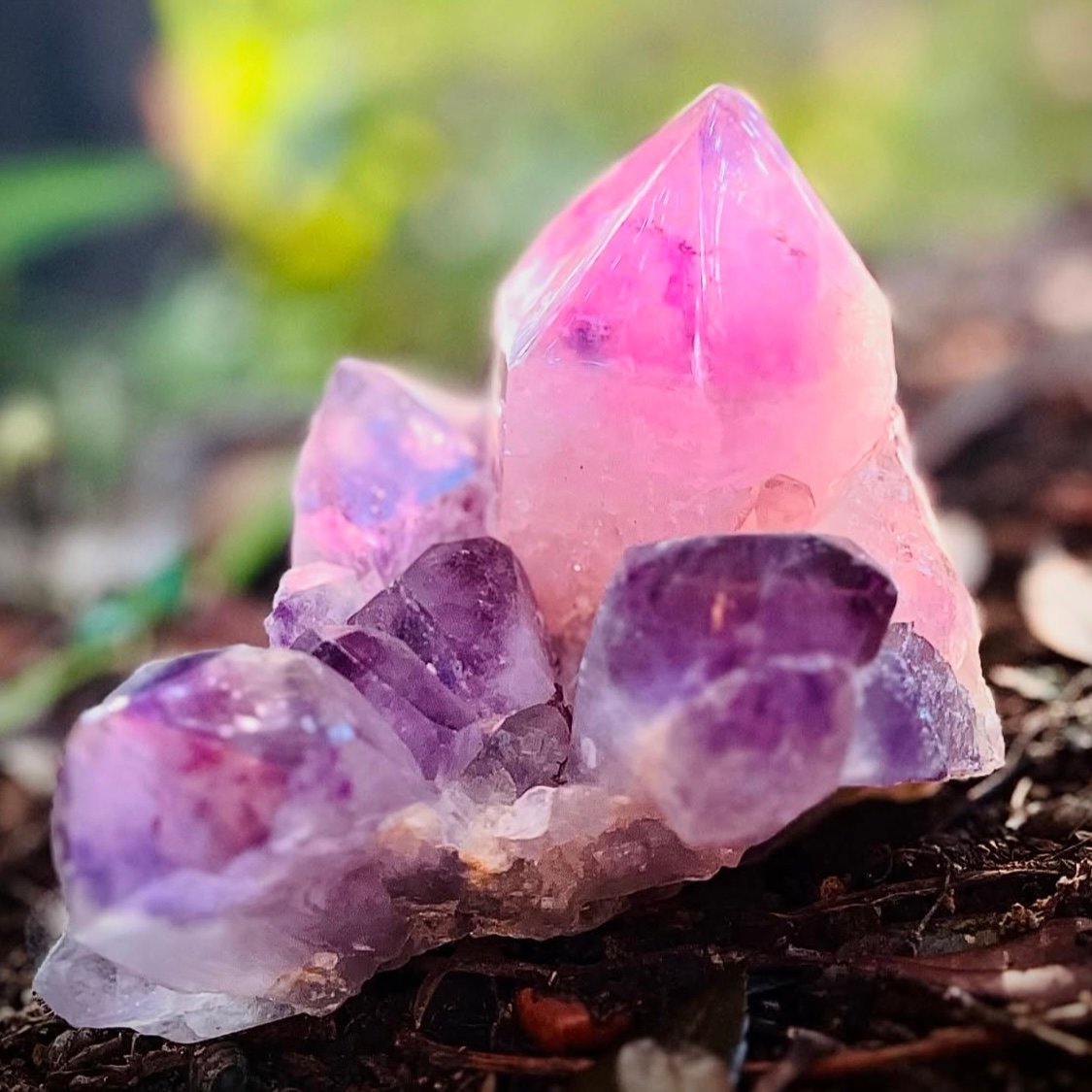 音奉納アメジストクラスター】 | LAMYURIA