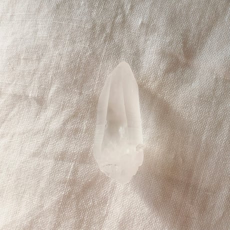 レムリアンシード (6)