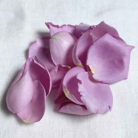 【プレミアム】ブルームーン薔薇花びら