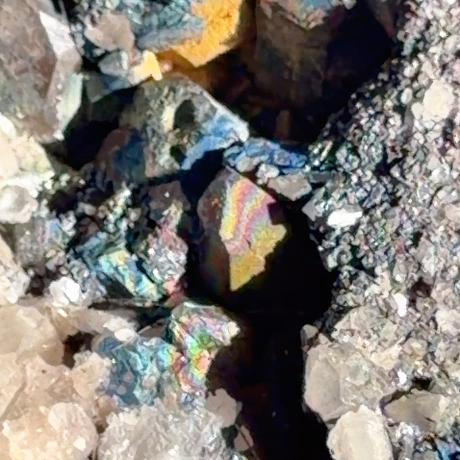 6a101fcf1c3f4f7ce24f6dd0