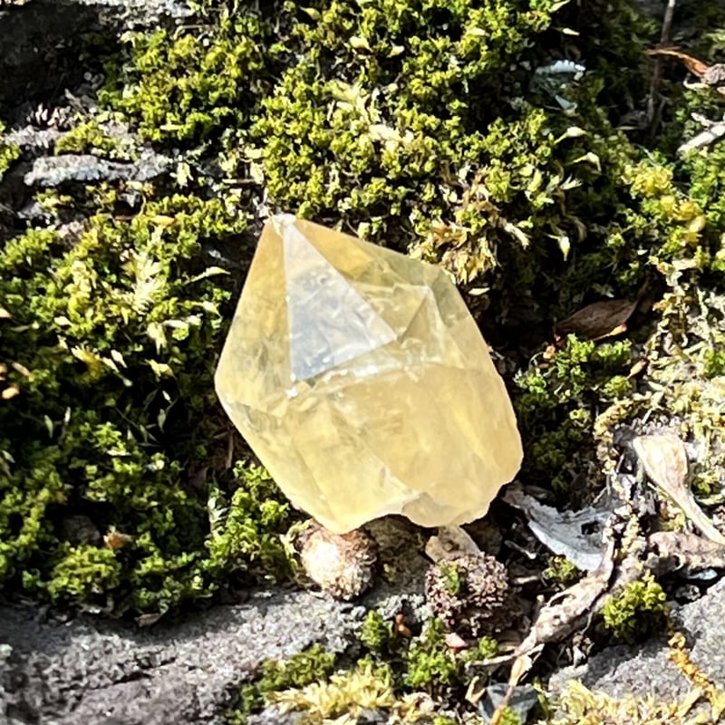 シトリン 原石 ポイント 2 | LAMYURIA
