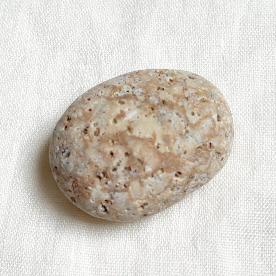 68b18321918325a0016e2b06