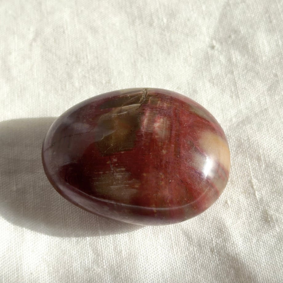 69a2e97de080d9c7cb82e831