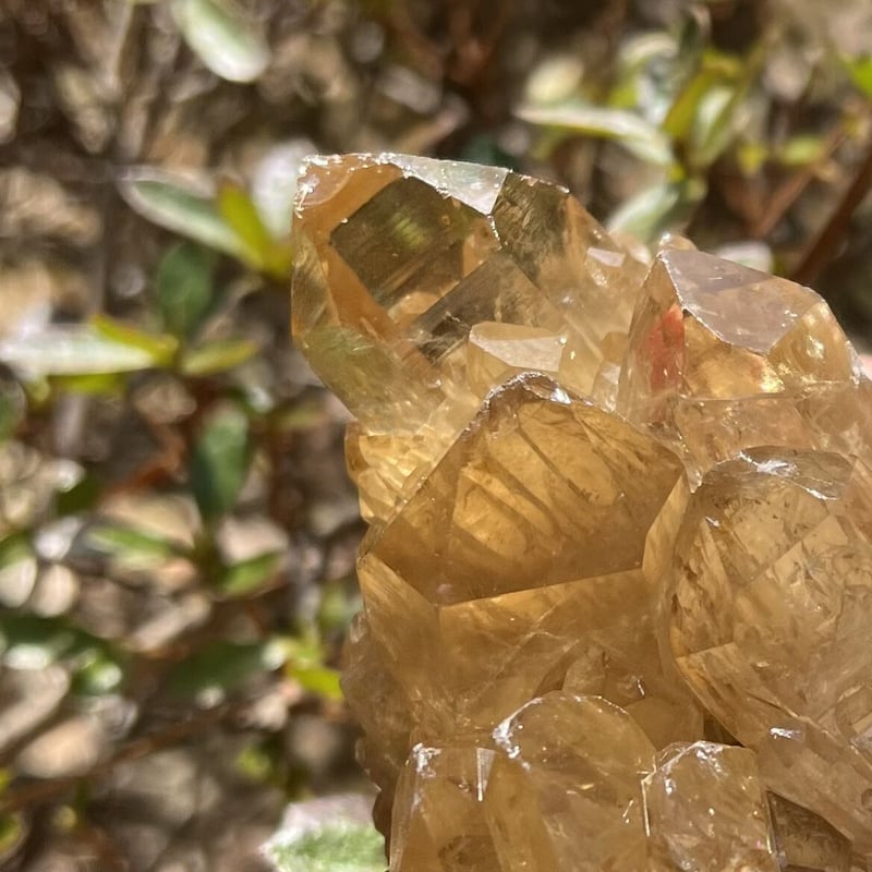 最終値下げ】シトリン 原石 【公式通販】