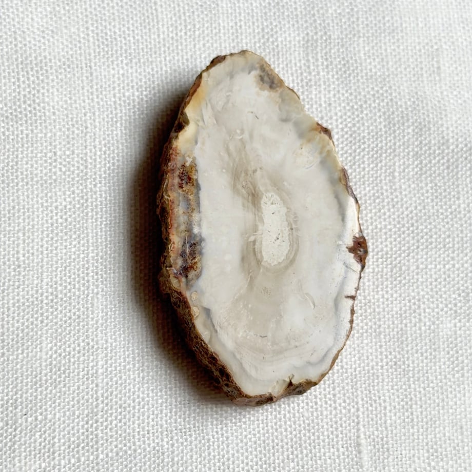 6a409232e99ff9efd569d6d9