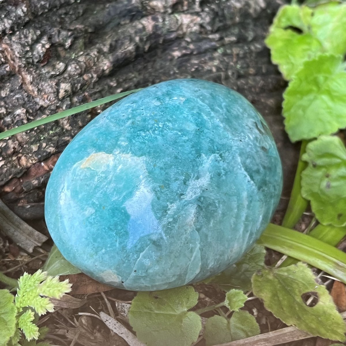 アマゾナイト パームストーン （過去世） | LAMYURIA