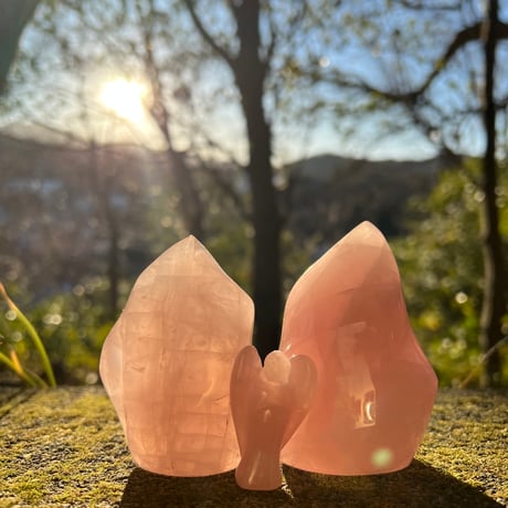 エンジェルズゲートset ⑴ 天使の導き・直感