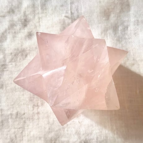 CATEGORY ♋︎ 蟹座 | LAMYURIA