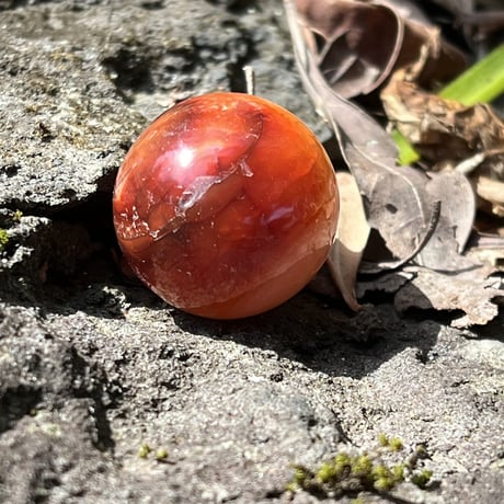 カーネリアン・卵ちゃん (1)