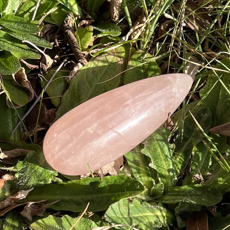 CATEGORY ワンド | LAMYURIA