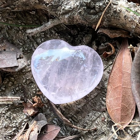 CATEGORY クリア | LAMYURIA