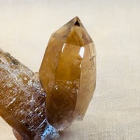 ★ちゅるちゅる黒系レムリアン水晶 (24) withレムリアンルート