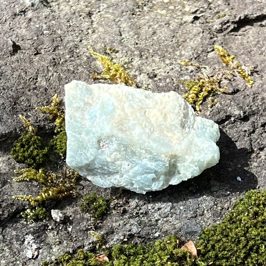 6232ab402b2d3d5802817444