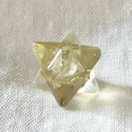 CATEGORY リビアングラス | LAMYURIA