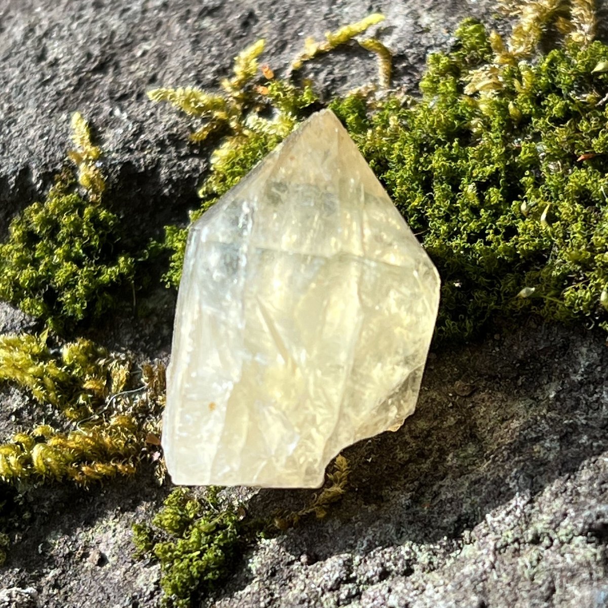 ぽっかぽか　開運絵画　❀シトリン原石❀ fit=scale-down,w=1200