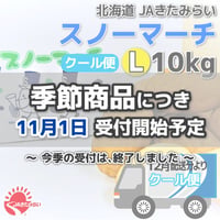 [クール便]じゃがいも｢スノーマーチ｣ 10kg【北海道 JAきたみらい産】