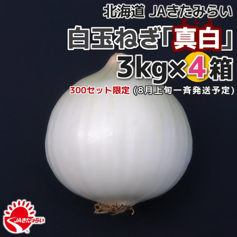 しろかね 3本セット 北見産たまねぎ「真白」 3kg×4箱【北海道 JAきたみらい】 | ショップ