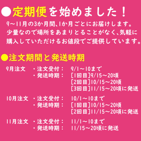 『定期便』玉ねぎ L3kg【送料無料】9月注文（3回配送）