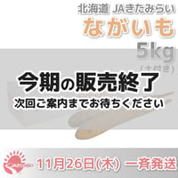 長芋(土付き) 秀 5kg【北海道 JAきたみらい産】 11/26一斉発送