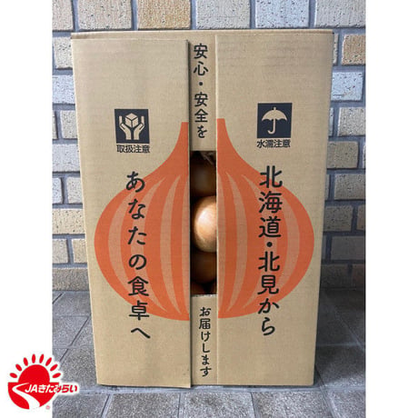 北見玉ねぎ L10kg【北海道 JAきたみらい】
