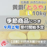 北見黄爵｢とうや｣ 10kg【北海道 JAきたみらい産】
