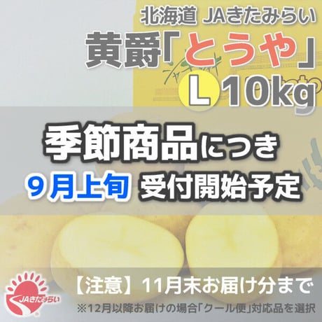 北見黄爵｢とうや｣ 10kg【北海道 JAきたみらい産】