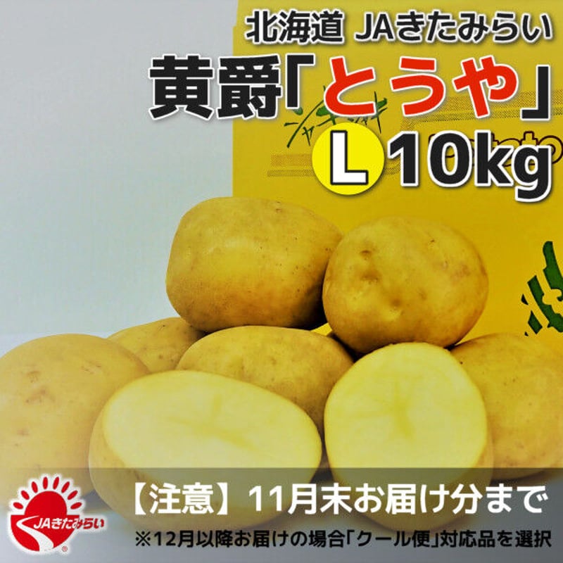 北見黄爵｢とうや｣ 10kg【北海道 JAきたみらい産】 | ショップきたみさん！