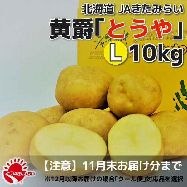 北見黄爵｢とうや｣ 10kg【北海道 JAきたみらい産】 | ショップきたみさん！