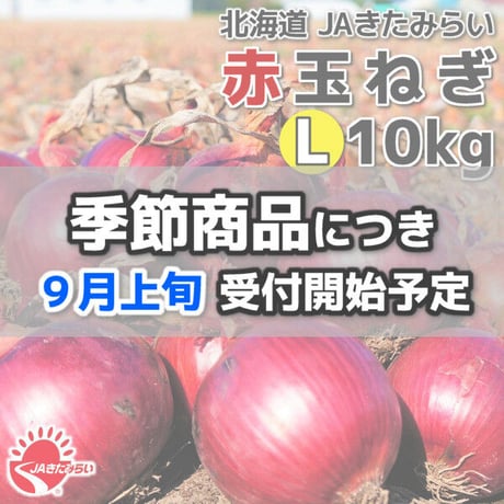 赤玉ねぎ 10kg【北海道 JAきたみらい産】