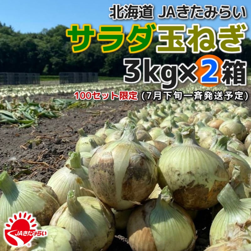たまねぎ JAきたみらい「サラダ玉ねぎ」 3kg×2箱【北海道 北見産