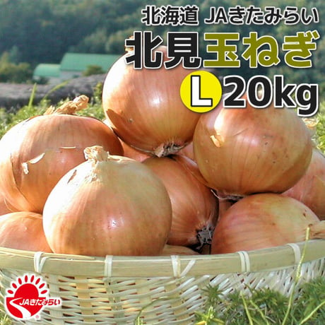 北見玉ねぎ L20kg【北海道 JAきたみらい】