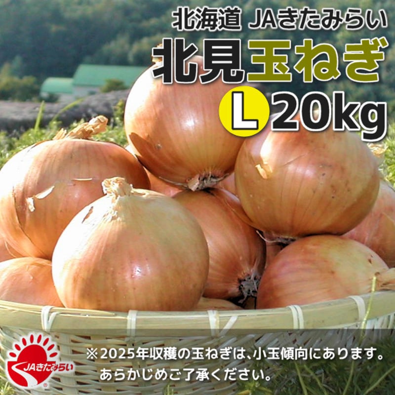 北見玉ねぎ L20kg【北海道 JAきたみらい】 | ショップきたみさん！