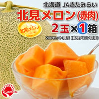 JAきたみらい「北見メロン(赤肉) 」2玉×1箱【北海道 JAきたみらい】