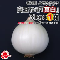 北見産たまねぎ「真白」 3kg×1箱【北海道 JAきたみらい】