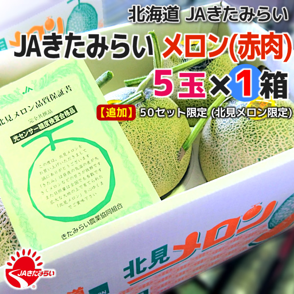 JAきたみらい メロン(赤肉) 5玉×1箱【北海道 JAきたみらい