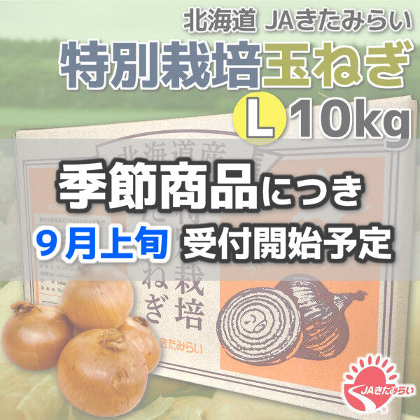 特別栽培玉ねぎ L大10kg【北海道 JAきたみらい】 | ショップきたみさん！
