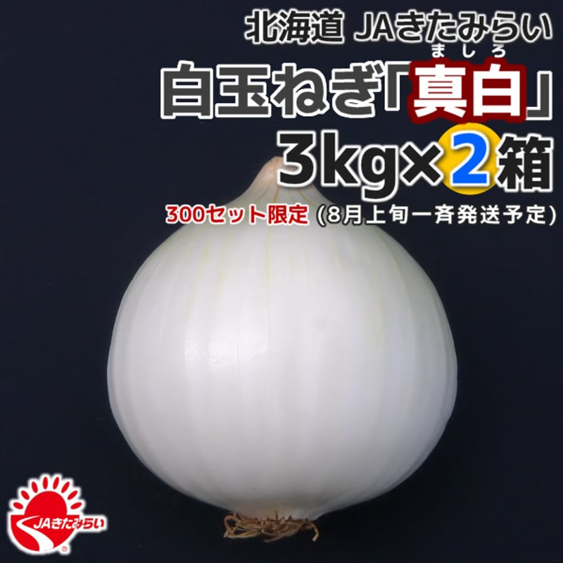 北見産たまねぎ「真白」 3kg×2箱【北海道 JAきたみらい】 | ショップ