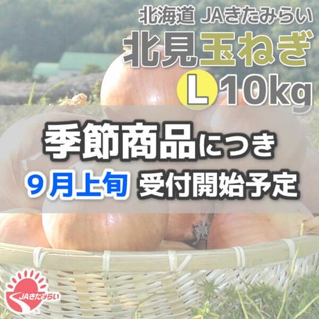 北見玉ねぎ L10kg【北海道 JAきたみらい】