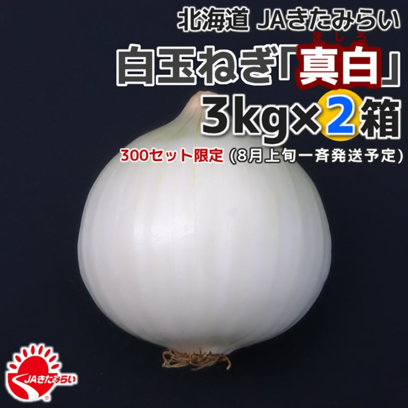 北見産たまねぎ「真白」 3kg×2箱【北海道 JAきたみらい 北見産たまねぎ「真白」 3kg×2箱【北海道 JAきたみらい