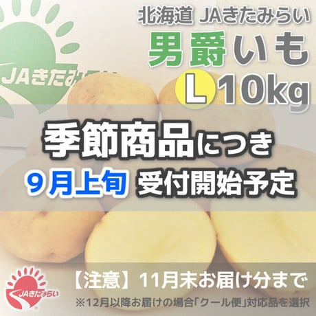 北見男爵いも 10kg【北海道 JAきたみらい産】