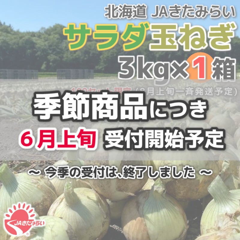 玉ぴょ　　　大きい方 JAきたみらい「サラダ玉ねぎ」 3kg×1箱【北海道 北見産】 | ショップ