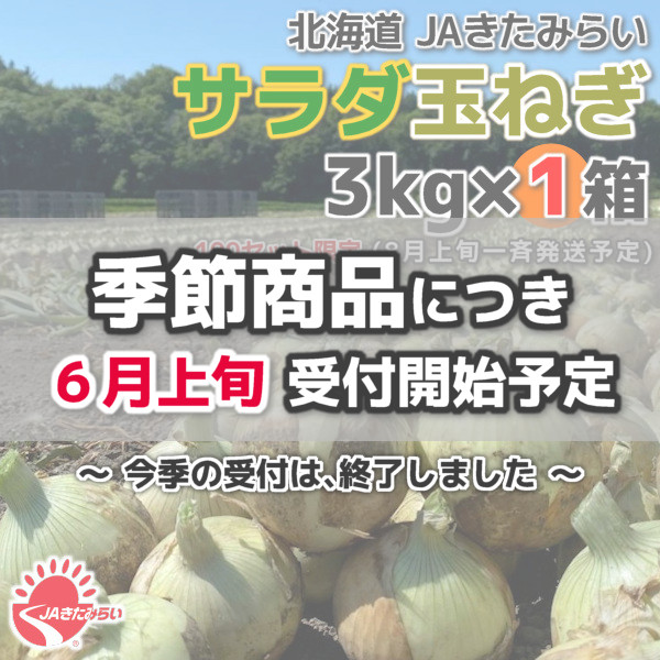 JAきたみらい「サラダ玉ねぎ」 3kg×1箱【北海道 北見産】 | ショップ