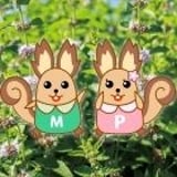 ショップきたみさん!