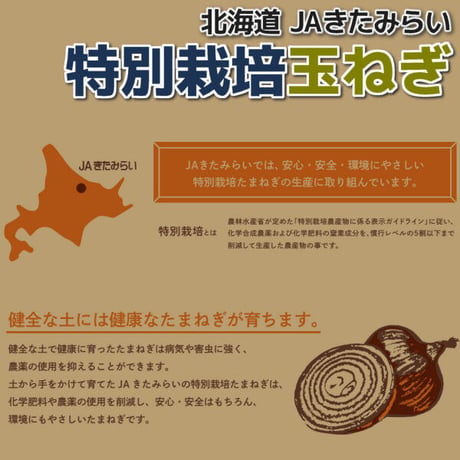 特別栽培玉ねぎ 10kg【北海道 JAきたみらい】