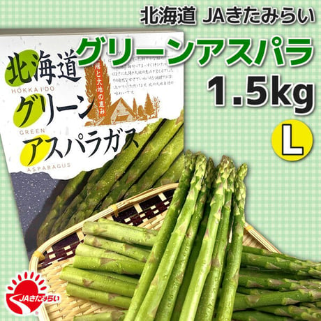 【数量限定】北海道 JAきたみらい グリーンアスパラ L 1.5kg