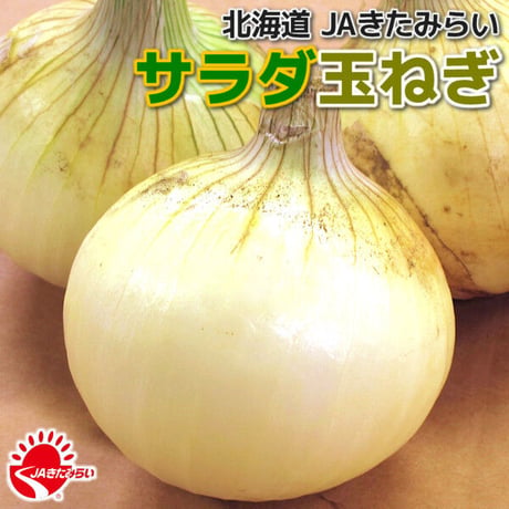JAきたみらい「サラダ玉ねぎ」 10kg【北海道 北見産】